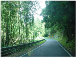 奈良県の３１０号線