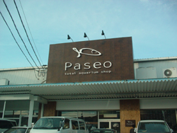 Paseo