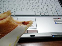 紙食べてる。。。