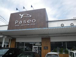 PASEO